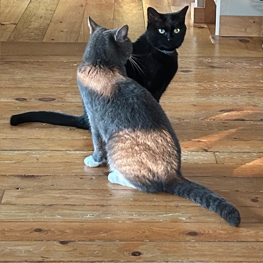 Meet your Posher, Kim